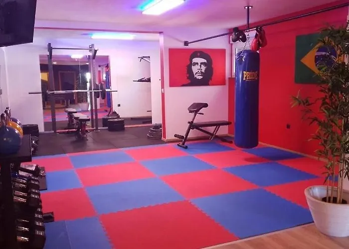 Vila Filip - Private Pool & Gym